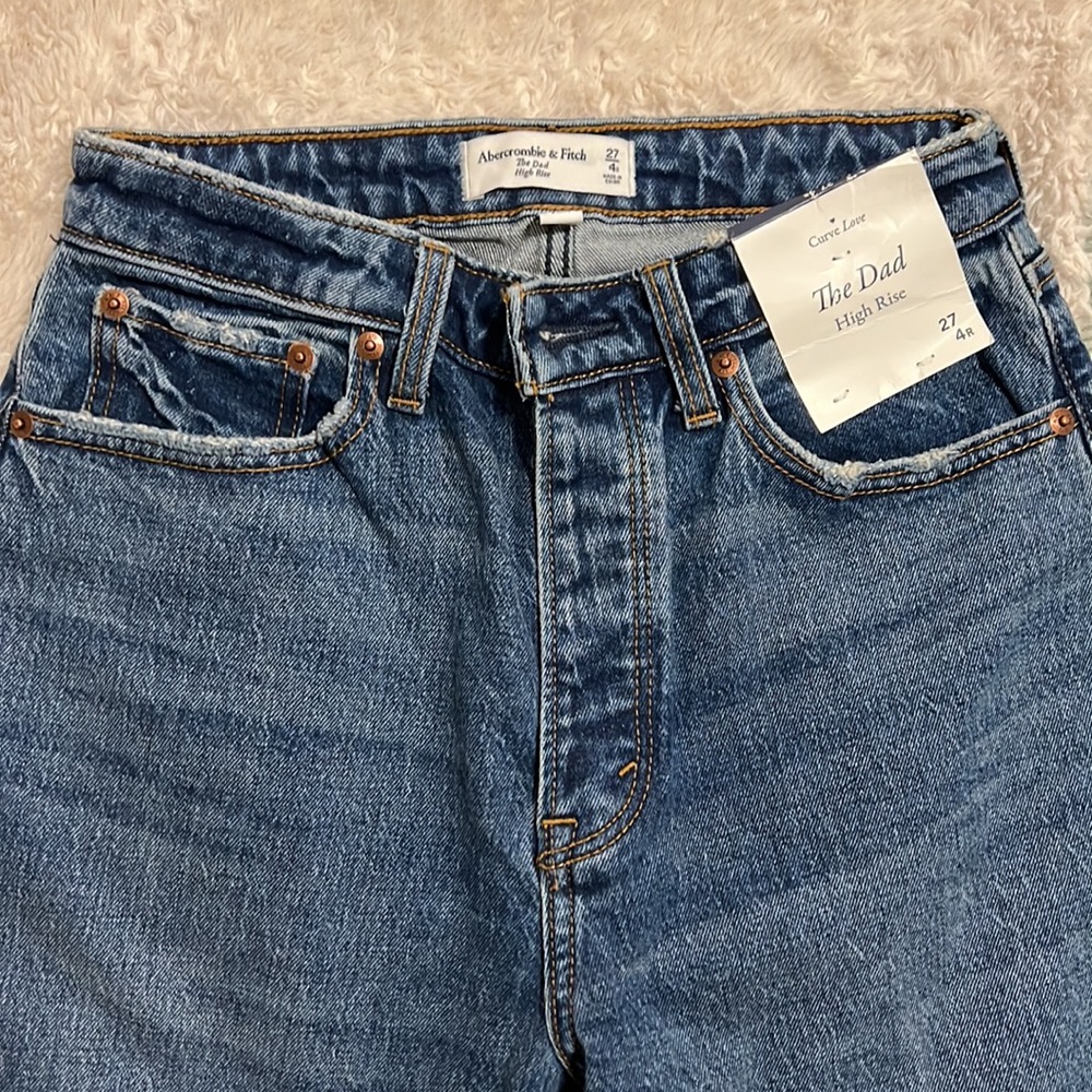 Abercrombie & Fitch Curve Love Dad Jean